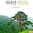 82차 7월6일 정기산행 지리산 뱀사골 실비단 이끼폭포 산행 이미지