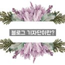 주식회사 웰피드