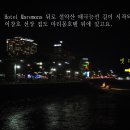 21호재진이네 Daum카페