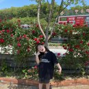 CU횡성섬강로점 이미지