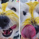 메디케어허브 이미지