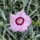 성당초등학교 이미지