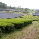 무릉2리마을회관 이미지