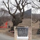 보천 이미지