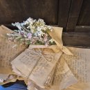 세븐성내점 | 25 1207 밤 뮤지컬 팬레터 후기 : 조금은 낭만과 예술이 남기를