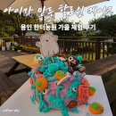 장봉도농원 영농조합법인 | 용인 한터농원｜가을 아이체험 추천, 할로윈 케이크 만들기 &amp; 동물 먹이주기 후기