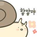 모모스테이블 이미지