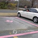 핑크라인 이미지