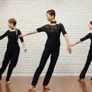 포트리 (poetry)