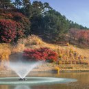 지산조경 이미지