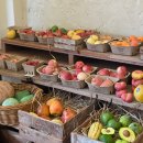 군자농장 | [군자 베렌옵스트] 유럽감성 뿜뿜! 직접 만든 색다른 브런치와 조용한 무드의 느좋 카페 추천! 주차...