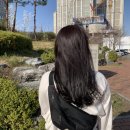 광교 미용실 [준오헤어 앨리웨이광교점] 조은일쌤 바이올렛 염색후기
