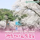 무주읍144 네이버블로그