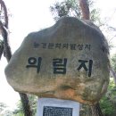 풍기인삼직매장