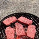 영지한우 이미지