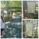 신정호수공원-2 이미지