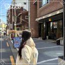 (주)태인피드-수입 | 네이버 여행 피드메이커 2기 후기 강력추천, 수입 2배 방문자 3배 증가