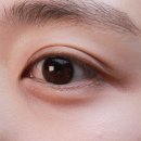 센츄얼 | 페리페라 심플레인 쿨톤섀도우팔레트, 틴트