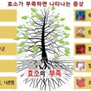 남양알로에 이미지
