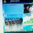 경포대(버스정류장) 이미지