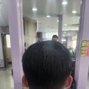 차영규헤어리베 이미지