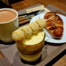 댕댕학당 이미지