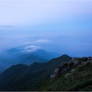 한라프라자약국 이미지