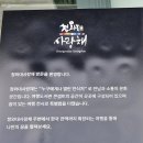 쌍용도서관 문화사랑방 | 청와대 사랑채- 트래블 라이브러리/ 기념품샵/ 미디어아트실/ 연화, 설렘의 빛 특별전시