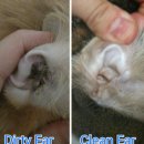 O.K 동물병원 이미지