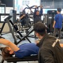 PT전문 레몬 이미지