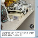 아언헤어 이미지