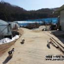 전병호 농장 이미지