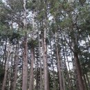 (삼보사찰3편)순천 송광사,정혜결사의 현장