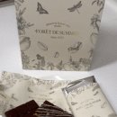 포레드썸머 이미지