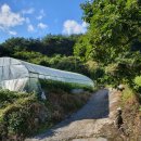 산호동106 이미지