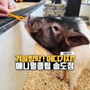 아재클럽낚시카페 | 송도 아이와 가볼만한 곳 , 실내동물원과 키즈카페 애니멀클럽 송도점 후기