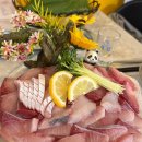 답십리30 | &#39;답십리 횟집 술사와&#39; 장한평 대방어 내돈내산 콜키지프리 맛집 솔직후기