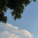 원모어크로스핏 이미지