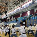 성인 태권도장 이미지