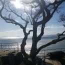 남쪽바다민박 이미지