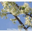 호당미술관 이미지