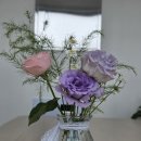 한스행정사사무소 이미지