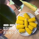열매향 | 입안에서 팡팡 터지는 단맛! 힘찬열매 초당옥수수 후기