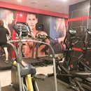 고릴라멀티짐 이미지