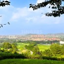 한국YMCA청양클럽 | 청도골프장 명문 코스 천태CC 시내 호텔 패키지로 즐기는 중국 여행