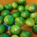 동천카페동행