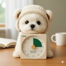 도서관에 온(on) 유튜버 | 낼나 포커스 온 타이머 후기