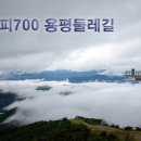 20200901 " 해피700 용평둘레길 " 연기합니다. 이미지