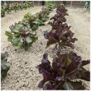 포근한방문요양센터 | 정읍가족방문요양 포근한재가복지센터의 따뜻한 손길