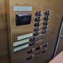 라스베이거스 파크엠지엠 PARK MGM 금연 카지노 호텔 스트립 접근성 좋은 숙소 트램 노선
